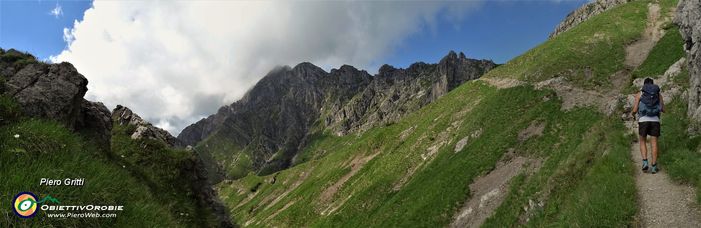 16 Panoramica dal sent. 501-Col dei Brassamonti verso il roccioso versante nord-est dell'Alben .jpg